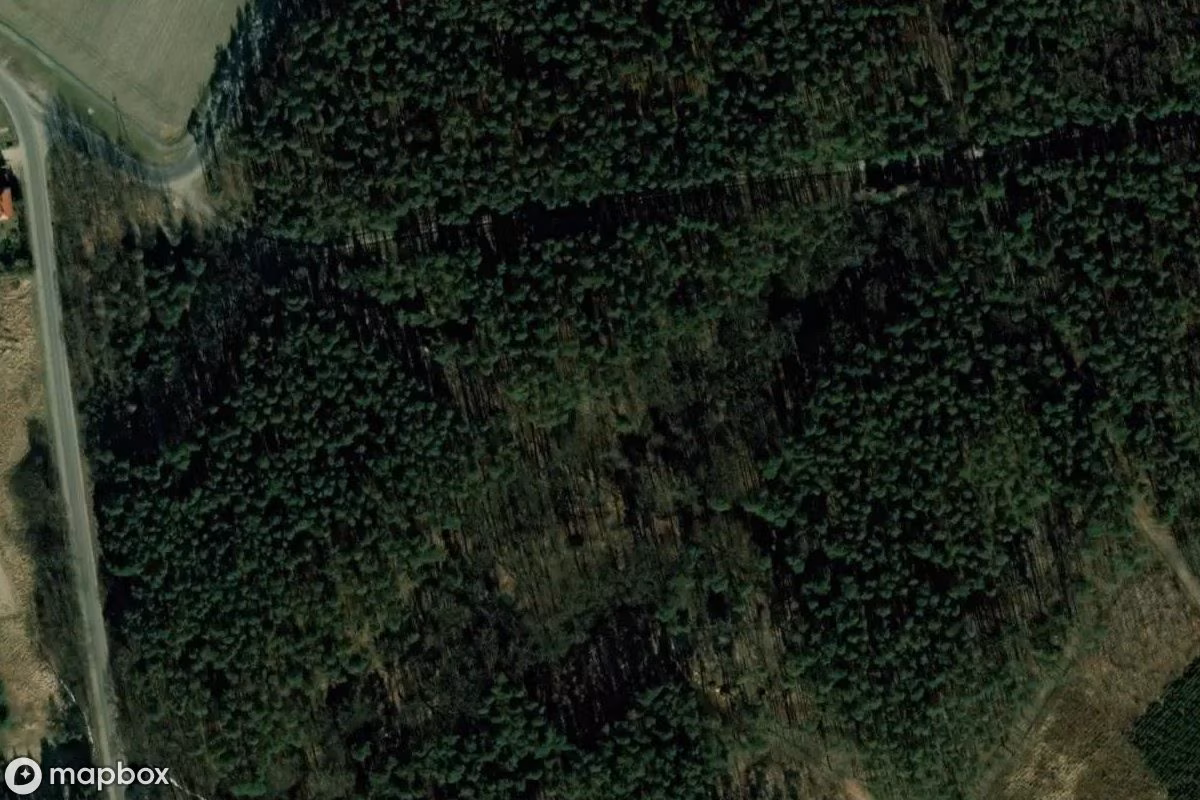 Friedhof Pückler Cieszków