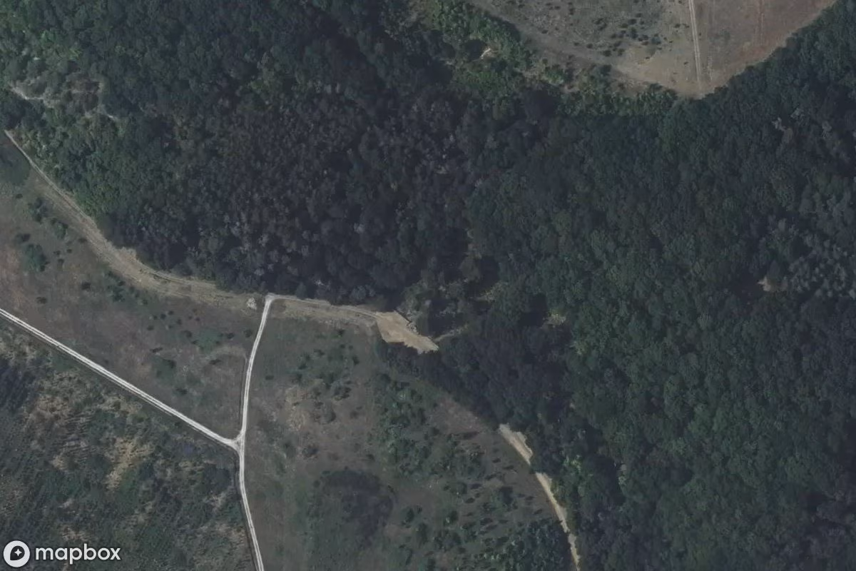 Friedhof der Wahnsinnigen