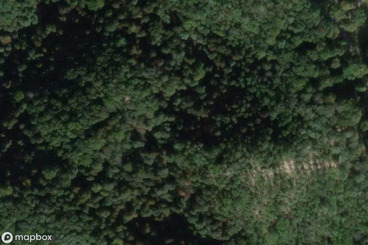 Hochberg & Pełcznica