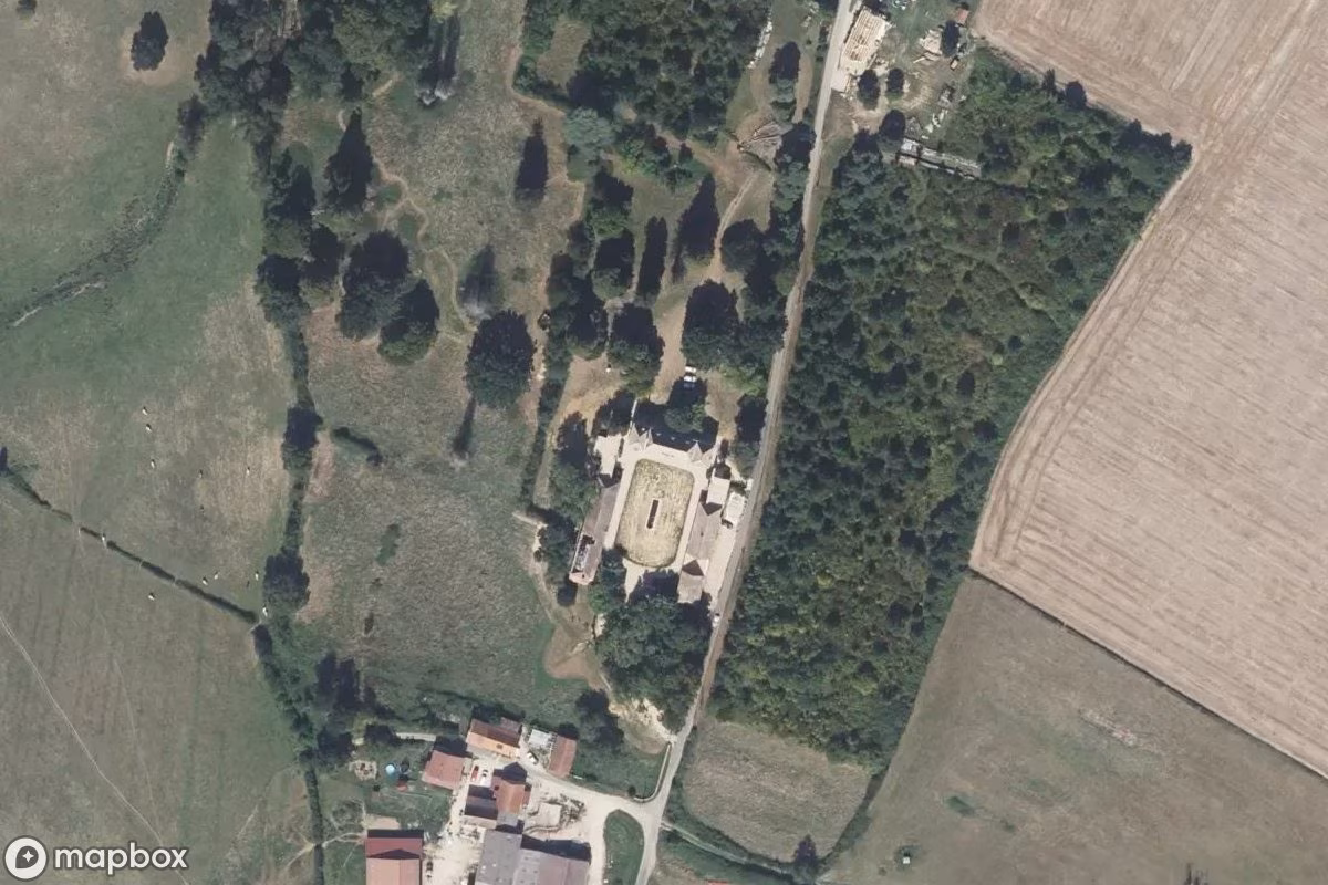 Château Taxidermist