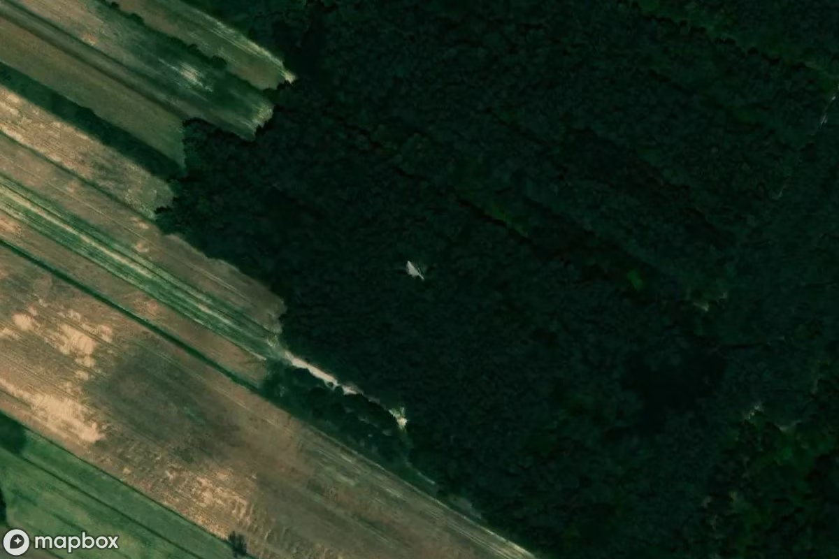 Turm Ariańska Krynica