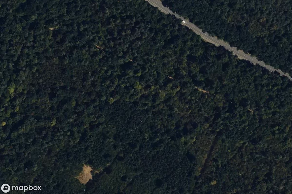 Bunkerruine Hardtwaldbatterie