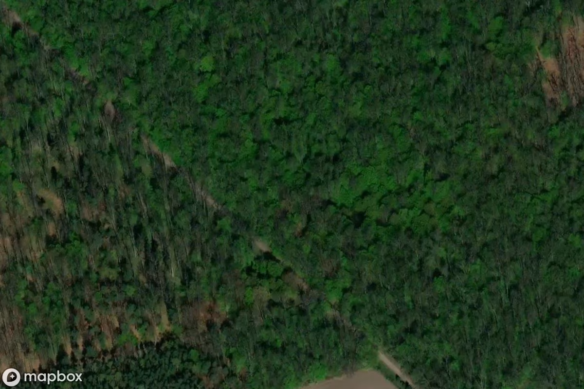 NSG Dąbrowa Smoszew