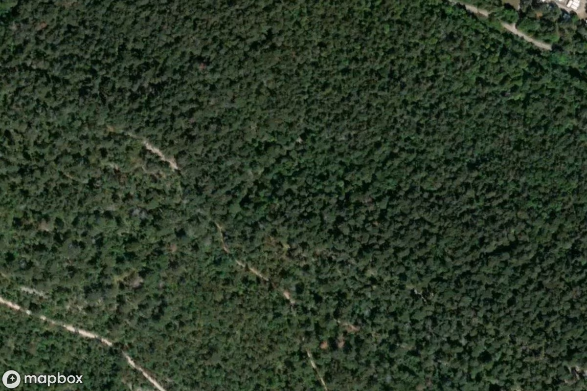 Höhle der Galleria Alice