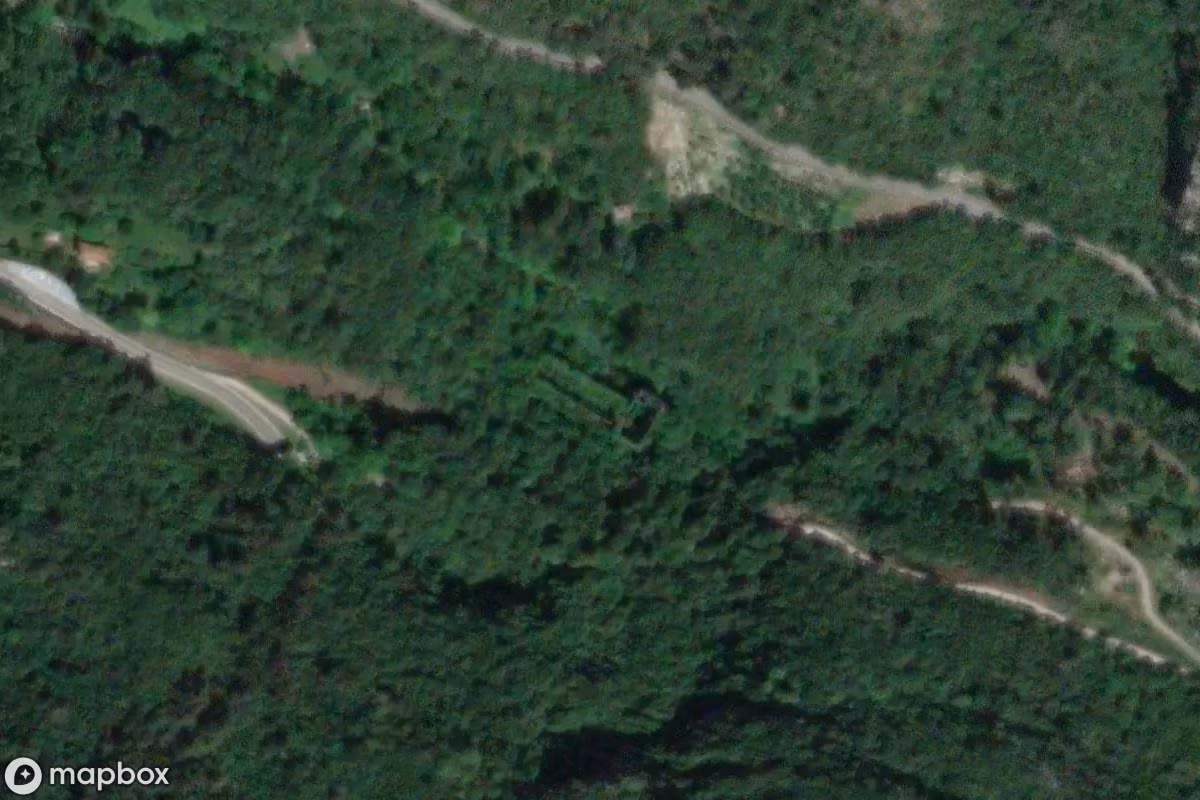 In der Grünen Hölle