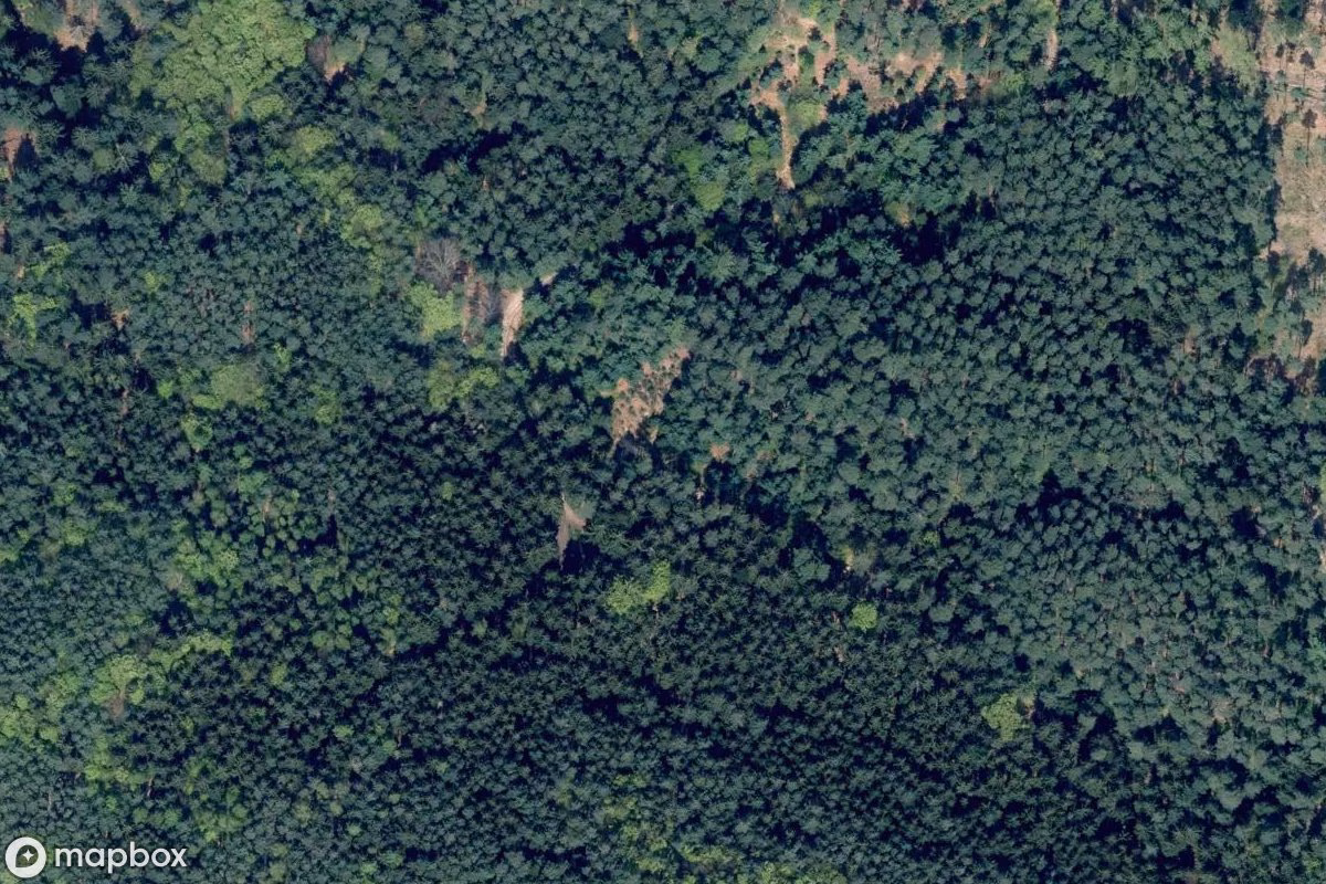 Aerial satellite view of Schützenbunker, an abandoned Bunker in Hřensko, Czechia