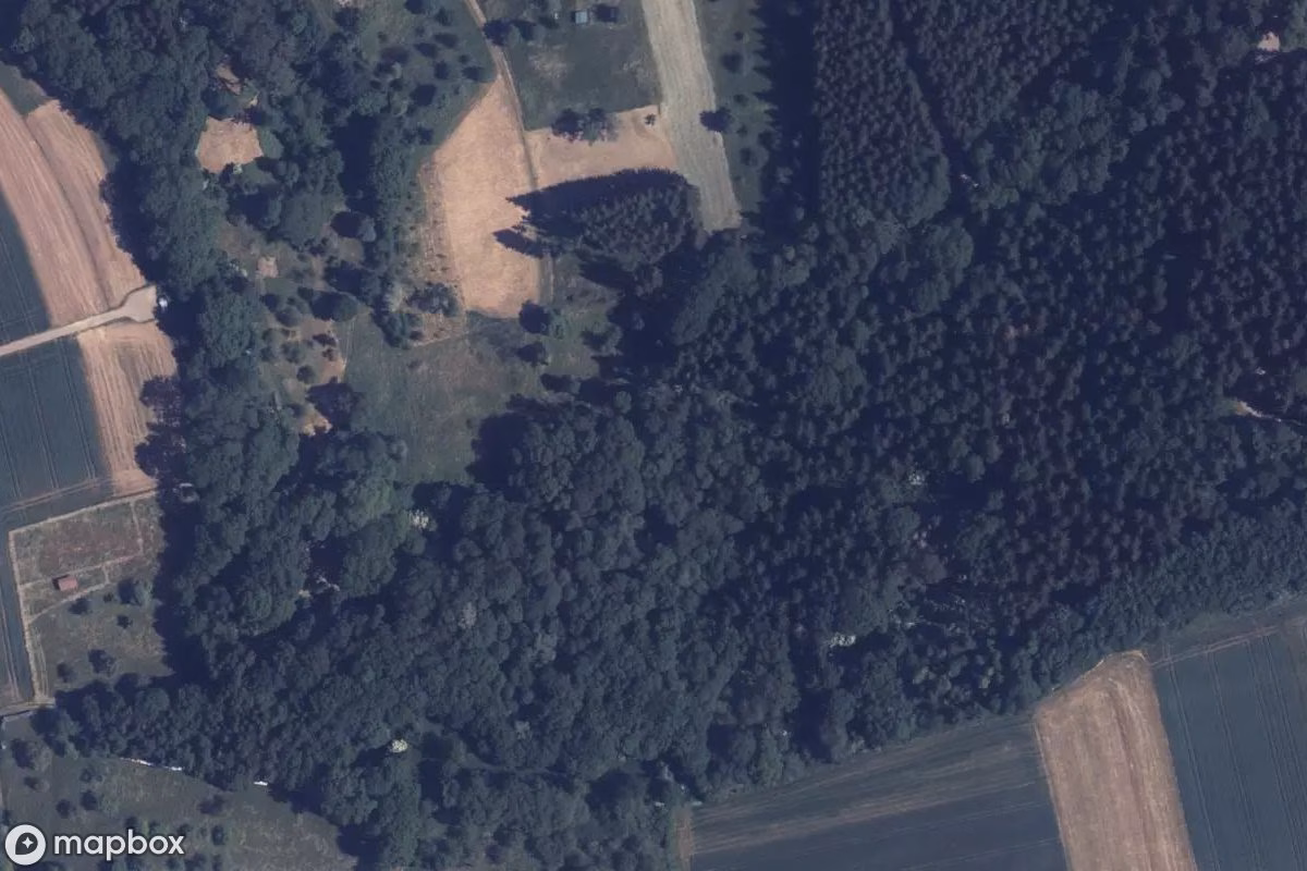 Satelitní letecký pohled na Der Mooskäfer im Wald, opuštěné  v Rosenfeld, Německo