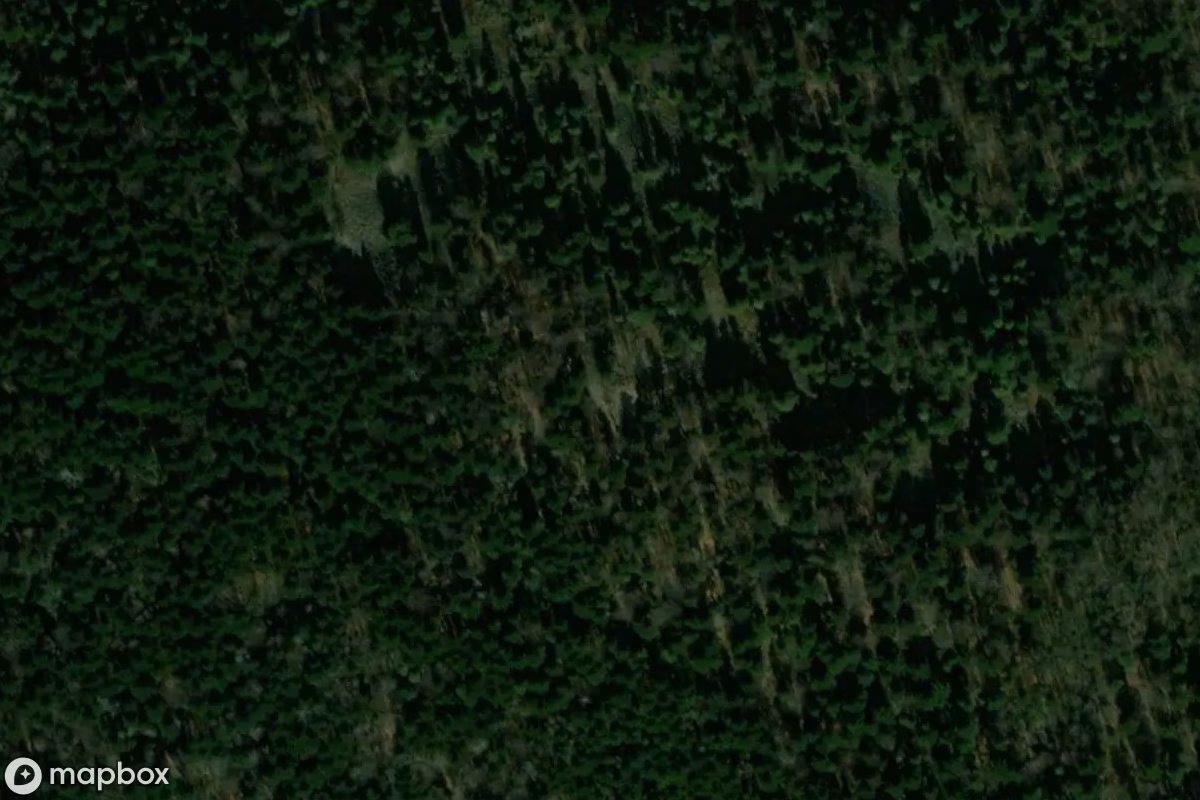 Satellittbilde fra luften av Lost Place, et forlatt  i Święta Katarzyna, Polen