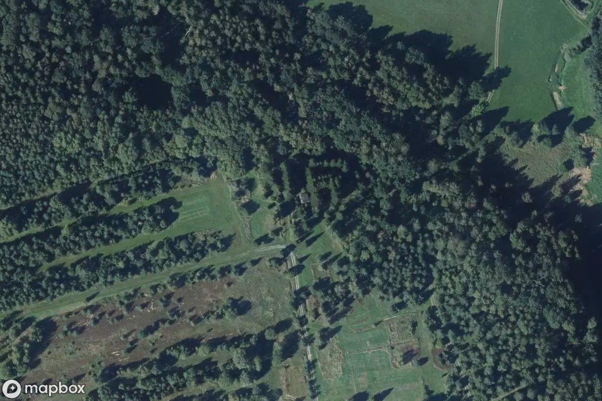 Aerial satellite view of Beobachtungsturm, an abandoned Tower in Syrau, Germany