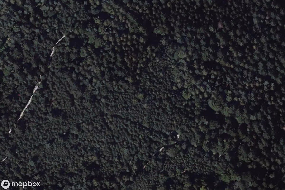 Satellittbilde fra luften av WW2 Bunker auf dem Eichelberg, et forlatt Bunker i Gaggenau, Tyskland