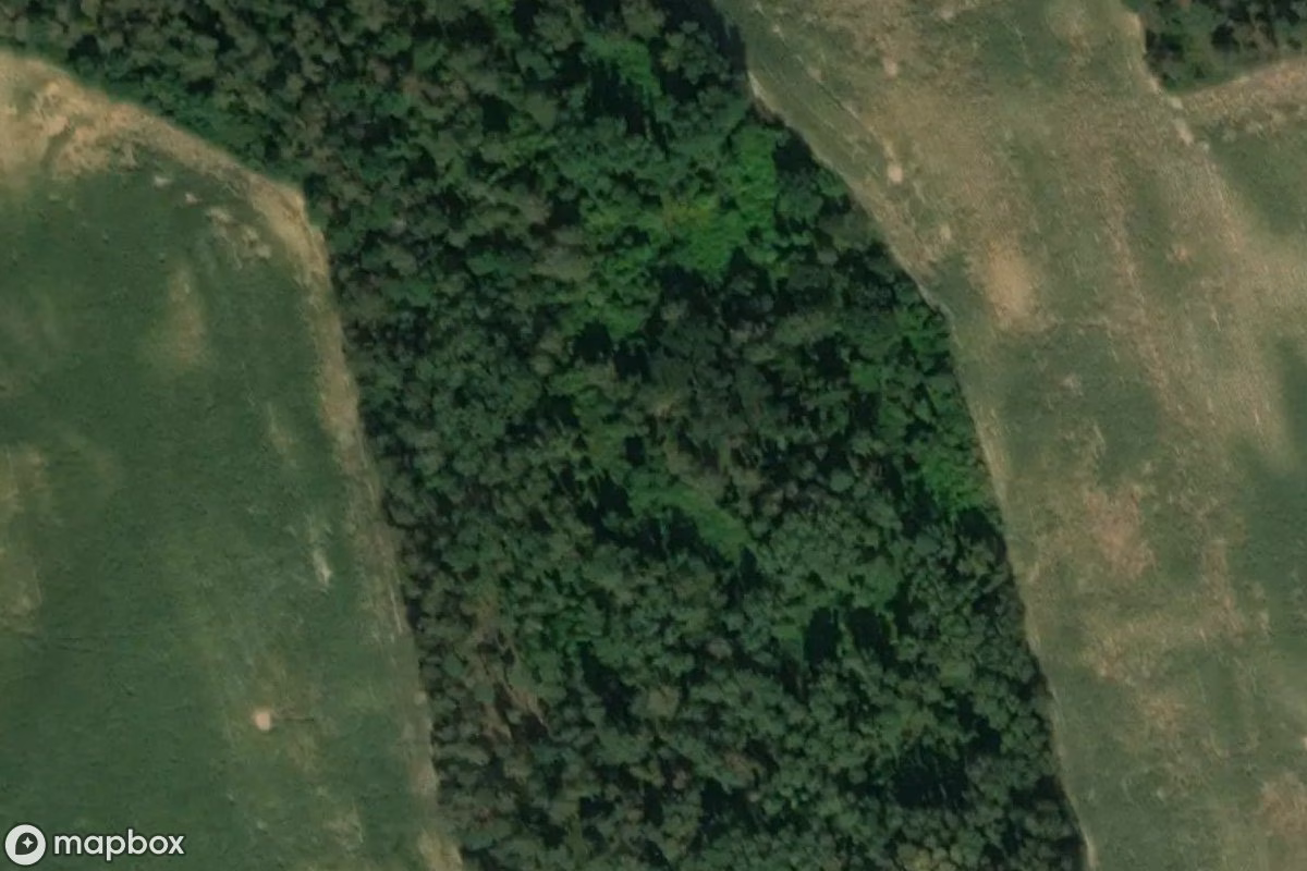 Satellietbeeld vanuit de lucht van MRU Pz W 713, een verlaten in Staropole, Polen