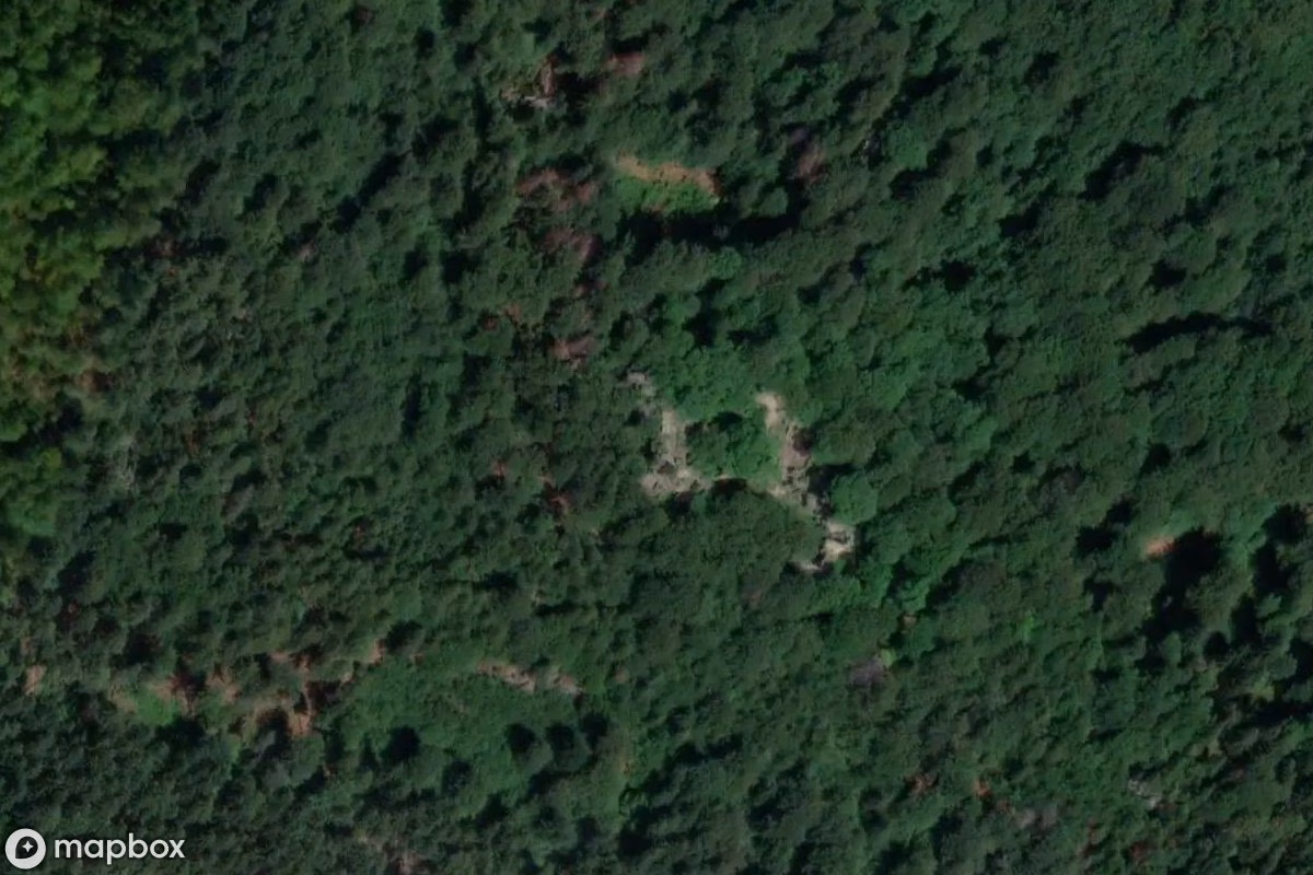 Satellitenansicht von Burg Bolzenschloss, eine verlassene Schloss in Janowice Wielkie, Polen