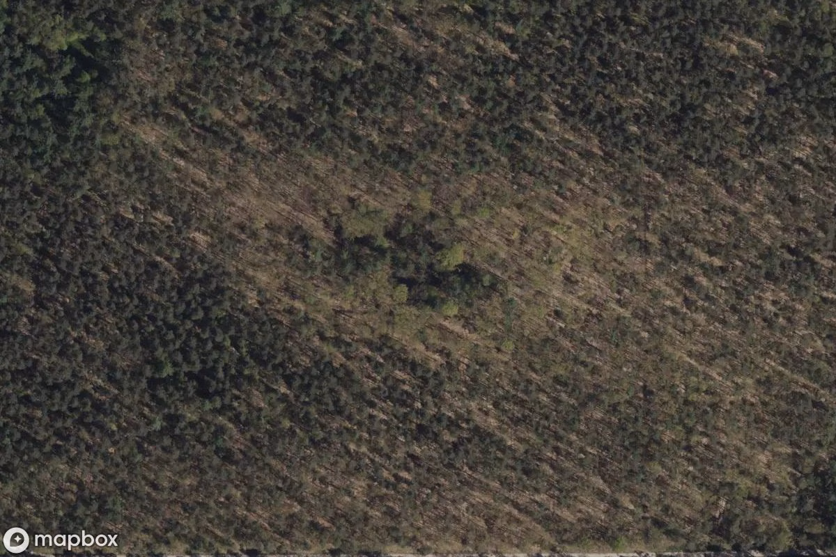 Aerial satellite view of Ruine Flakbatterie, an abandoned Ruin in Nuremberg, Germany