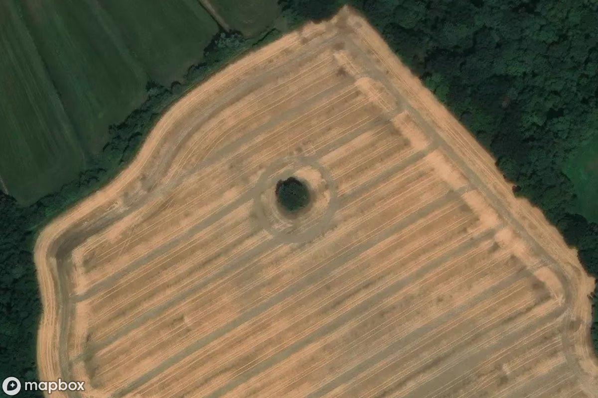 Aerial satellite view of Mäuseturm, an abandoned Tower in Damshagen, Germany
