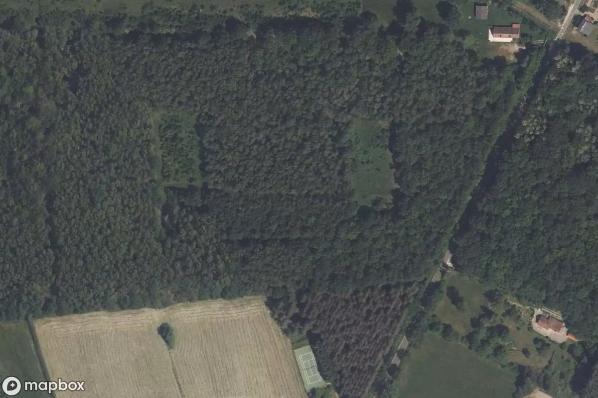 Vista aérea por satélite de Burganlage, un Castillo abandonado en Gien, Francia