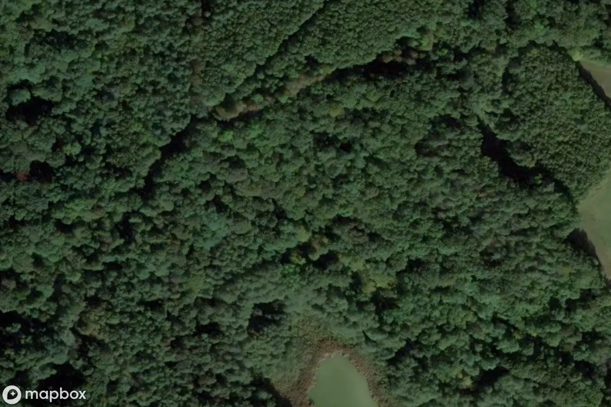 Műholdas légi felvétel Station Osowa Góra helyszínről, egy elhagyatott Vasútállomás itt: Ludwikowo, Lengyelország