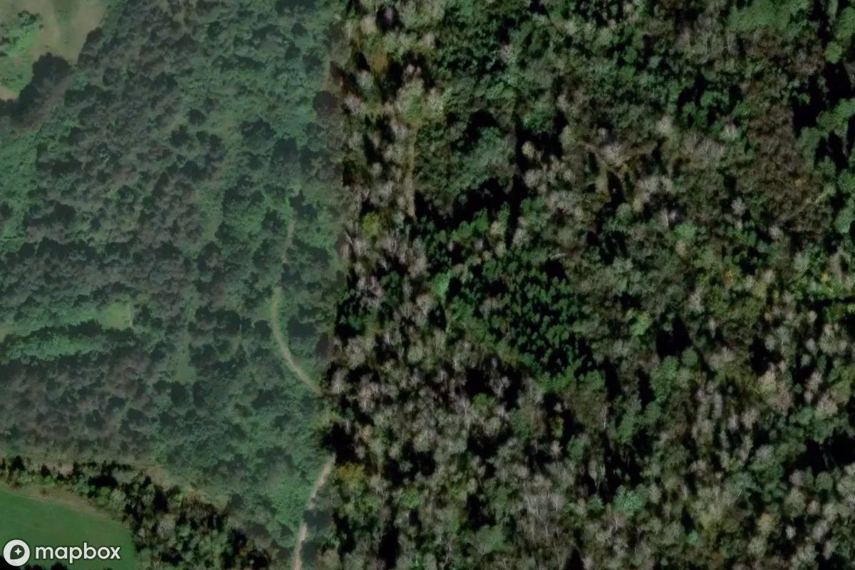 Satellietbeeld vanuit de lucht van Bunkereingang, een verlaten Bunker in Kolonie Obermeitingen, Duitsland