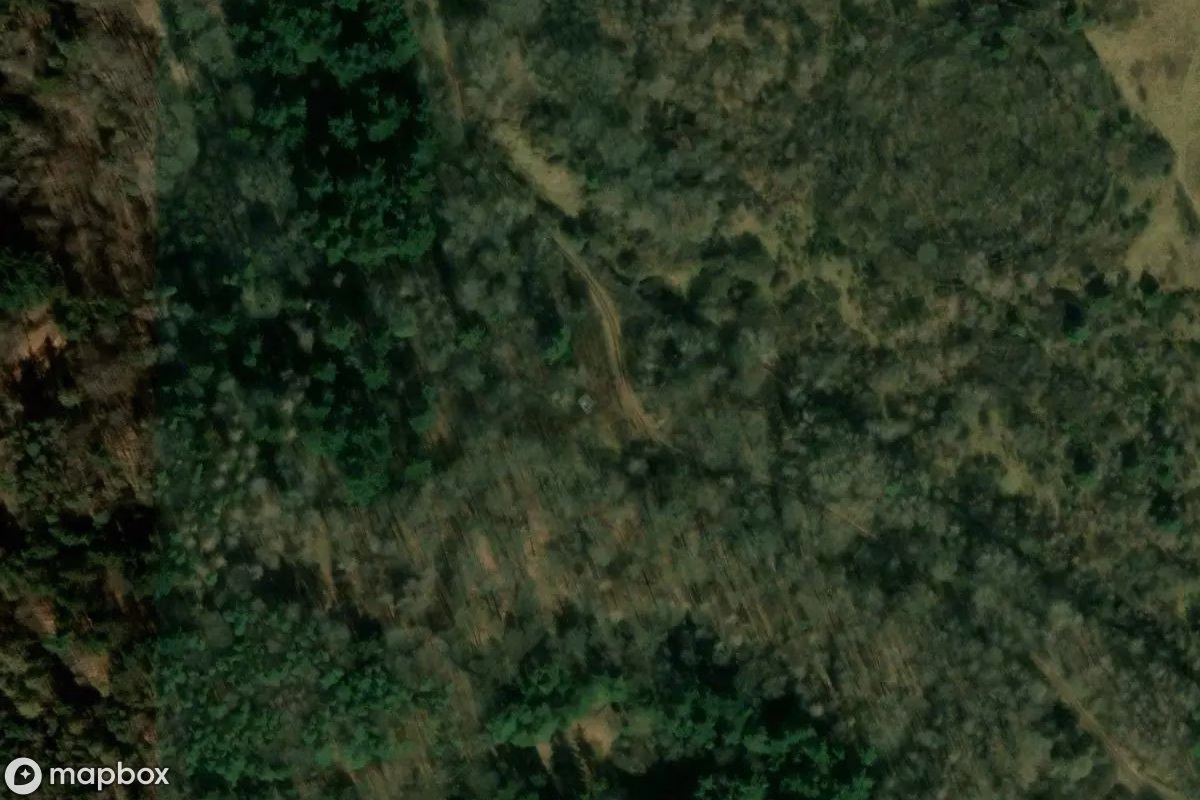 Aerial satellite view of Feuerwehr-Übungsturm, an abandoned Tower in Rodalben, Germany