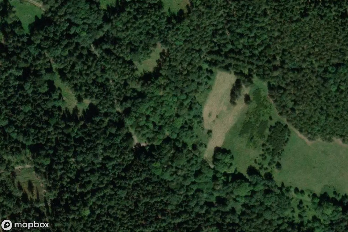 Aerial satellite view of Ruinen Prävatorium, an abandoned  in Miłków, Poland