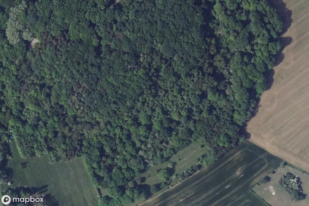 Vista aérea por satélite de Bunker, un Búnker abandonado en Dalstein, Francia