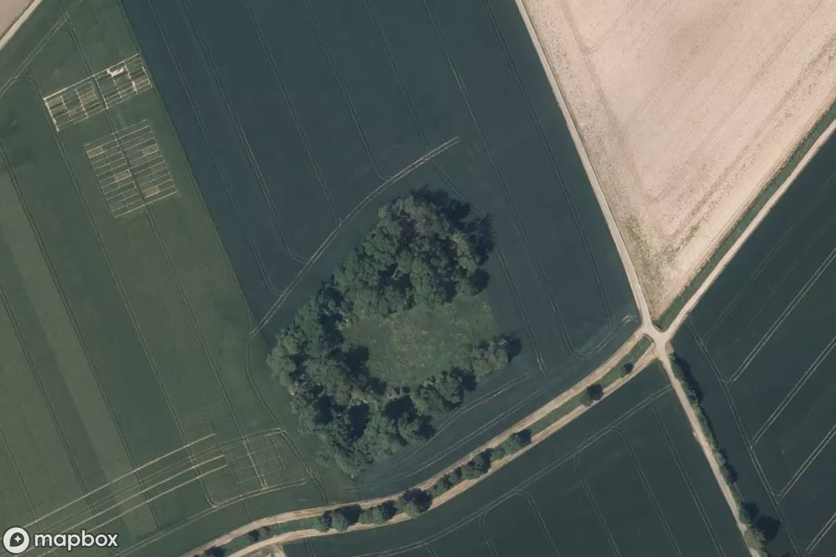 Vista aérea por satélite de Ruine, un Ruina abandonado en Bergheim, Alemania