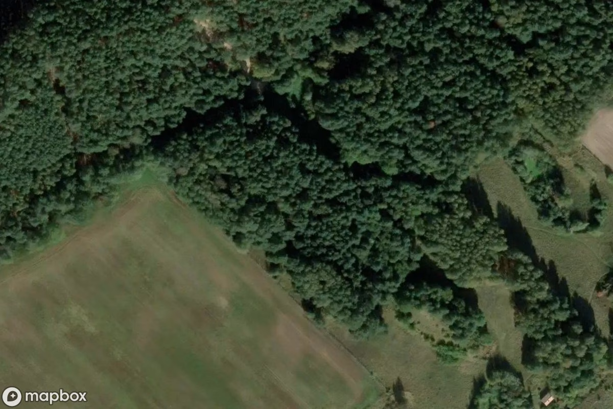 Vista aérea por satélite de Lost Place, un Granja abandonado en Dąbrówka Leśna, Polonia