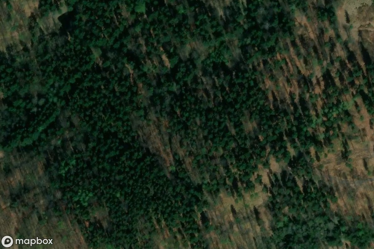 Aerial satellite view of Soboń complex - Riese - Giant, an abandoned in Głuszyca, Poland