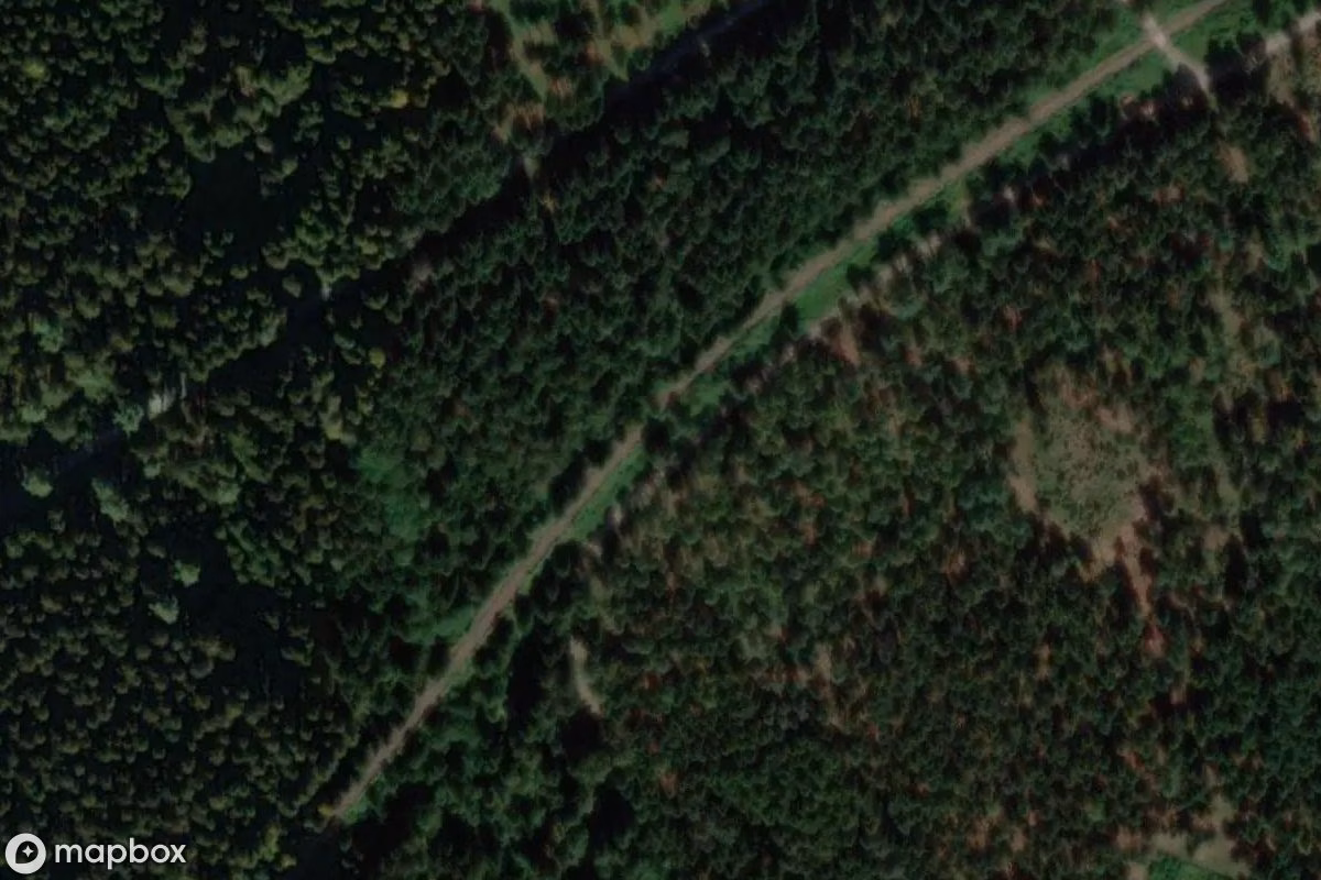 Satelitní letecký pohled na Kasten mit Gleisen, opuštěné Nádraží v Gefell, Německo