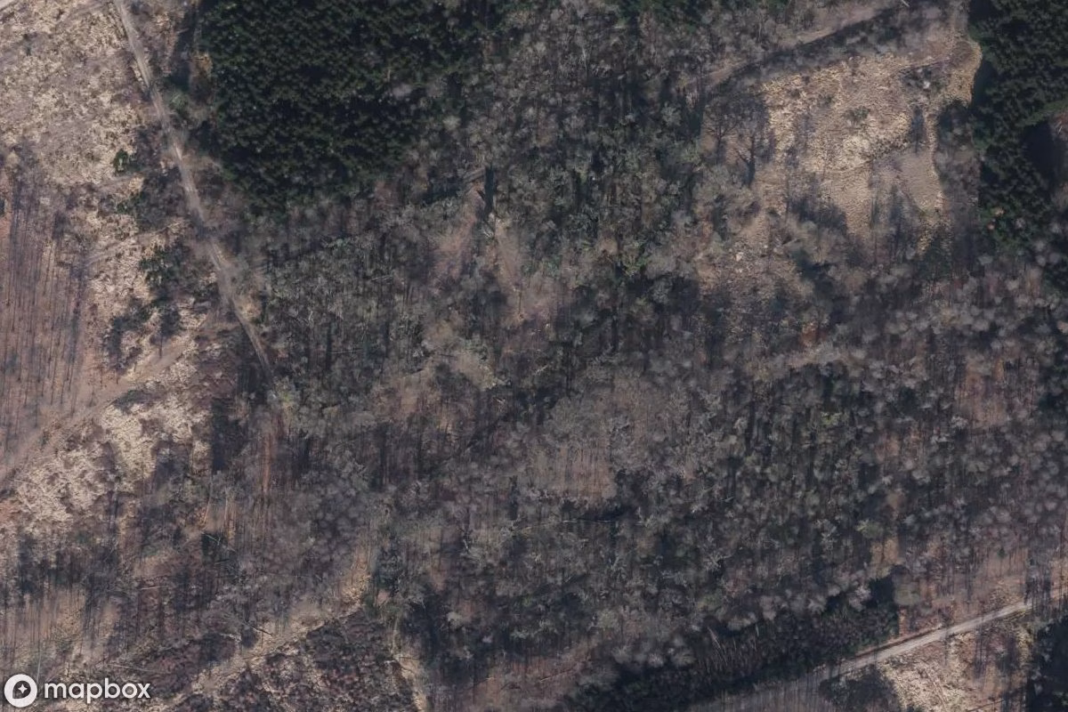 Satellitenansicht von Ruine, eine verlassene Ruine in Merode, Deutschland