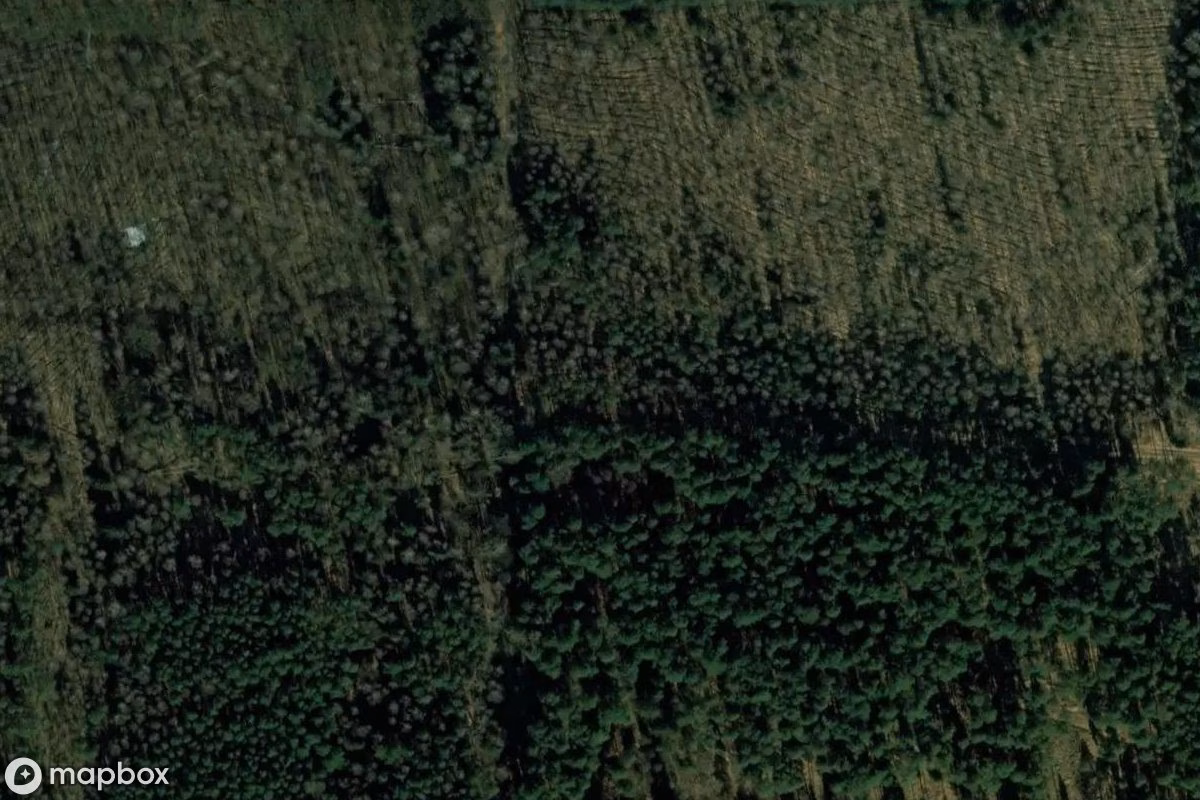 Satellietbeeld vanuit de lucht van Wald Trafary, een verlaten  in Trzaski, Polen