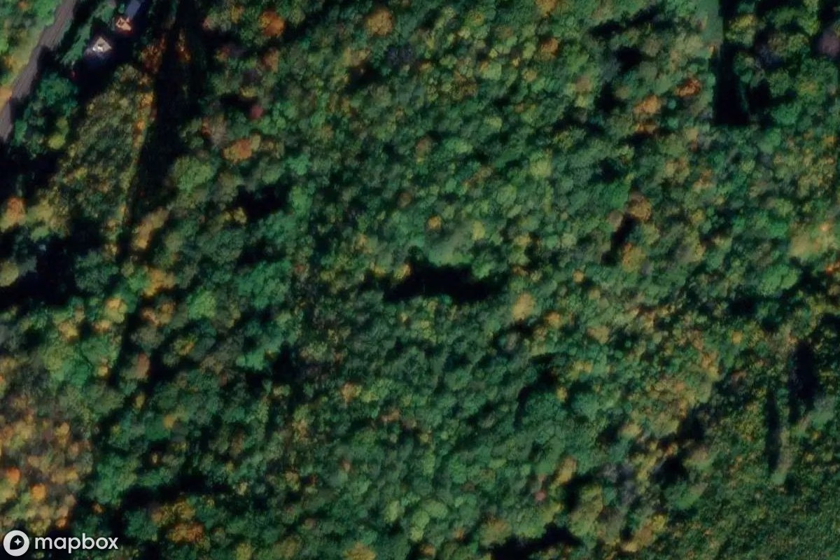 Aerial satellite view of Walpurgiskloster, an abandoned Church in Arnstadt, Germany